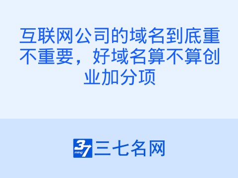 互联网公司的域名到底重不重要,好域名算不算创业加分项