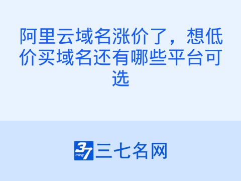 阿里云域名涨价了,想低价买域名还有哪些平台可选